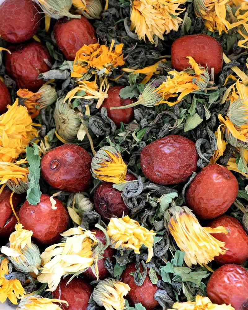 دمنوش صبحگاهی تواضع اروپا