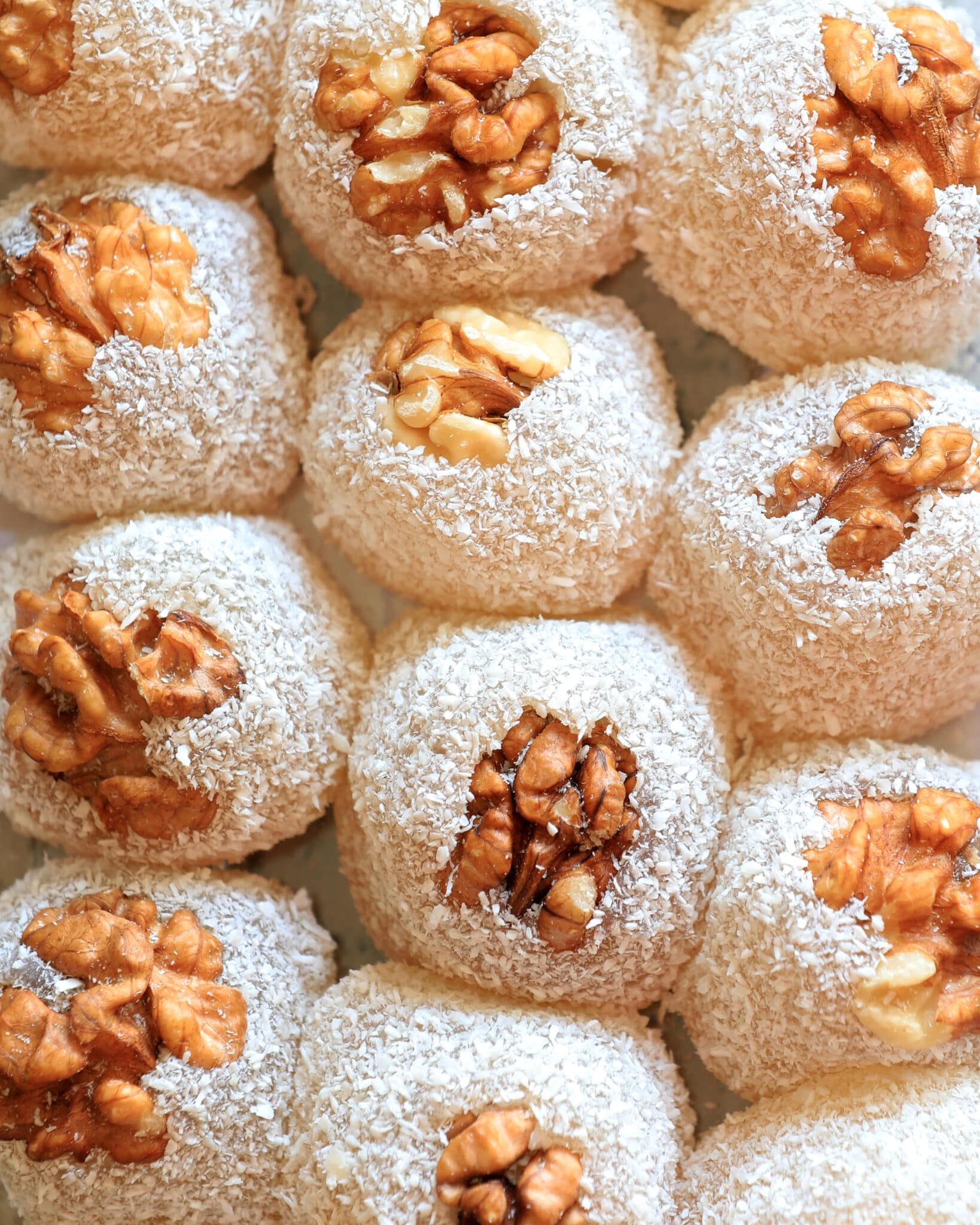 باسلق - تصویر 3